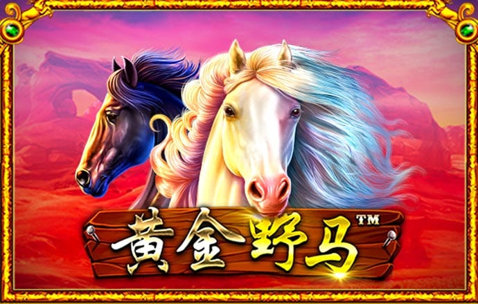 百姓彩票下载中心官网